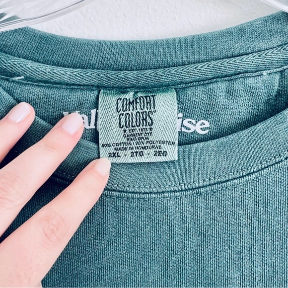 Valley Cruise Press 2XL Cactus Green Plant Crewneck Comfort Colors Sweater - Picture 4 of 5